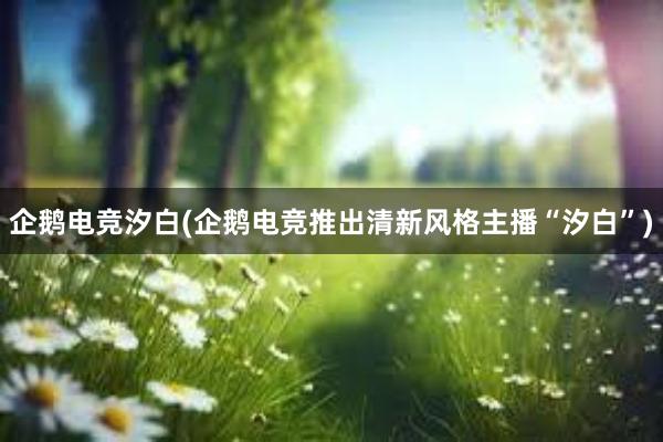 企鹅电竞汐白(企鹅电竞推出清新风格主播“汐白”)