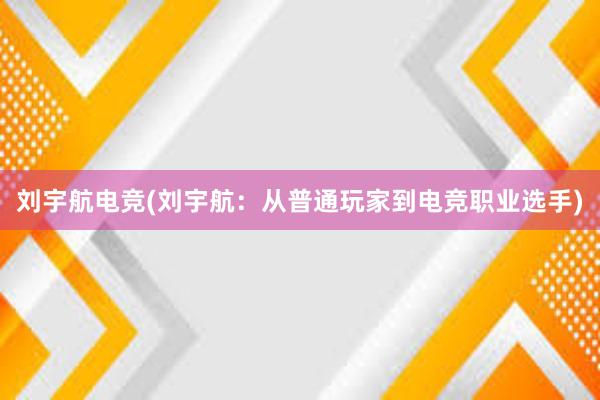 刘宇航电竞(刘宇航：从普通玩家到电竞职业选手)