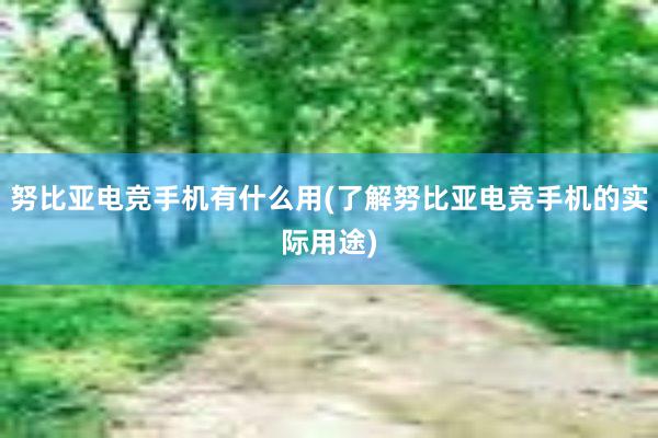 努比亚电竞手机有什么用(了解努比亚电竞手机的实际用途)