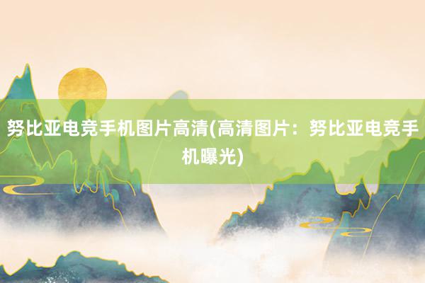 努比亚电竞手机图片高清(高清图片：努比亚电竞手机曝光)