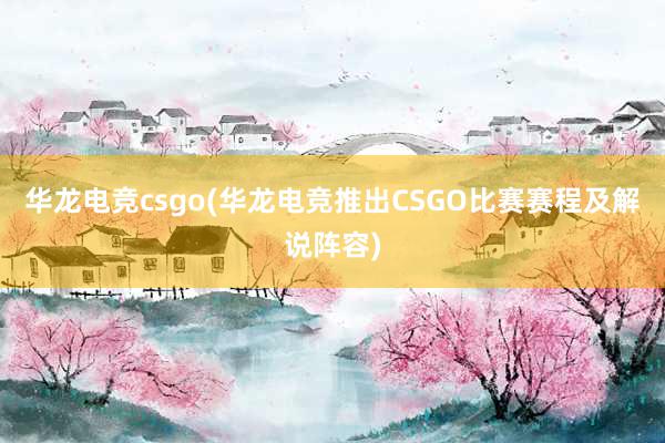 华龙电竞csgo(华龙电竞推出CSGO比赛赛程及解说阵容)