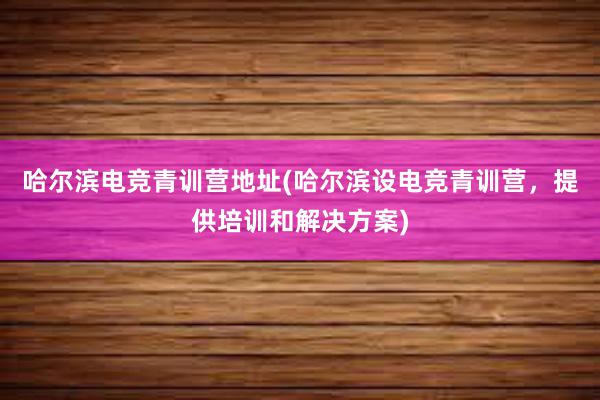 哈尔滨电竞青训营地址(哈尔滨设电竞青训营，提供培训和解决方案)