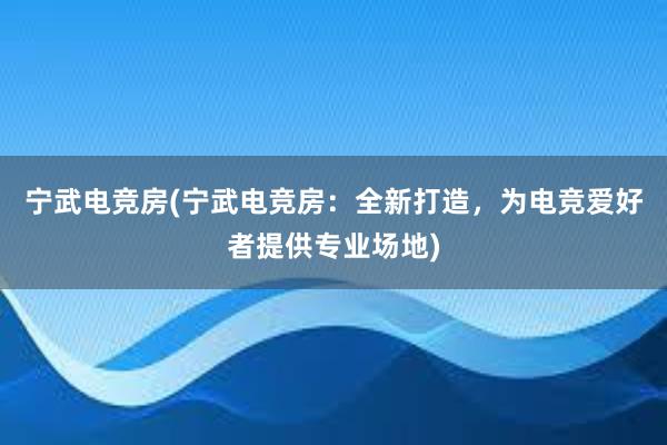 宁武电竞房(宁武电竞房：全新打造，为电竞爱好者提供专业场地)