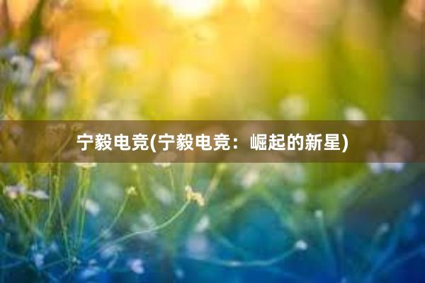 宁毅电竞(宁毅电竞：崛起的新星)