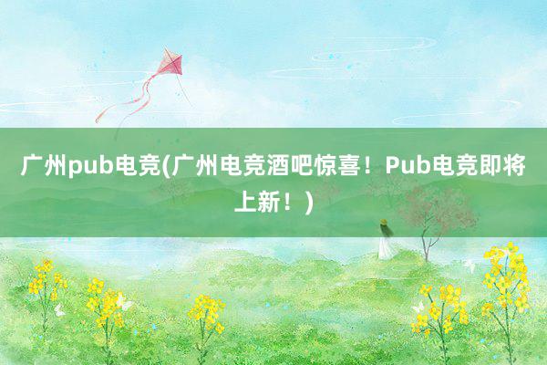 广州pub电竞(广州电竞酒吧惊喜！Pub电竞即将上新！)