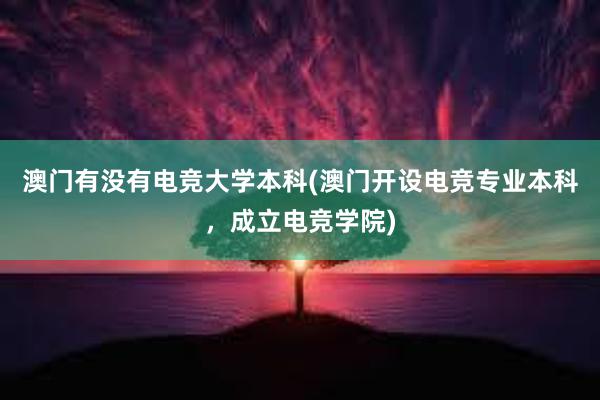 澳门有没有电竞大学本科(澳门开设电竞专业本科，成立电竞学院)