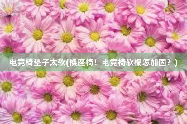 电竞椅垫子太软(换座椅！电竞椅软榻怎加固？)