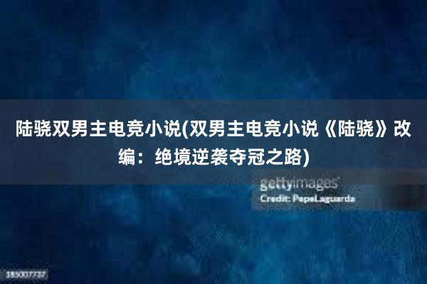 陆骁双男主电竞小说(双男主电竞小说《陆骁》改编：绝境逆袭夺冠之路)