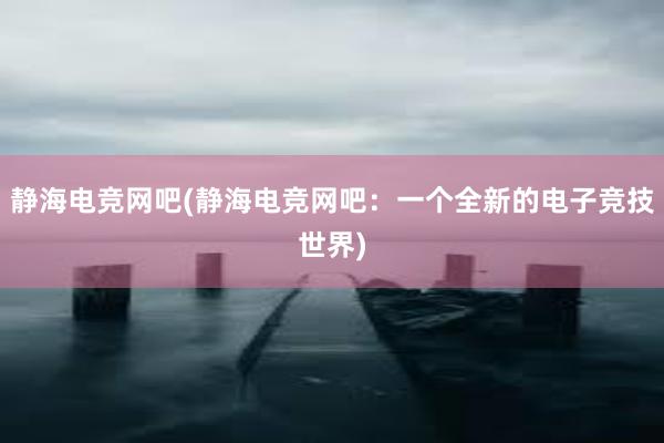 静海电竞网吧(静海电竞网吧：一个全新的电子竞技世界)