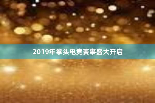 2019年拳头电竞赛事盛大开启