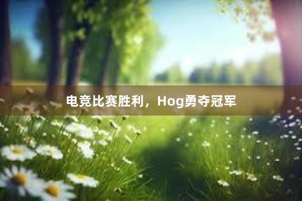 电竞比赛胜利，Hog勇夺冠军