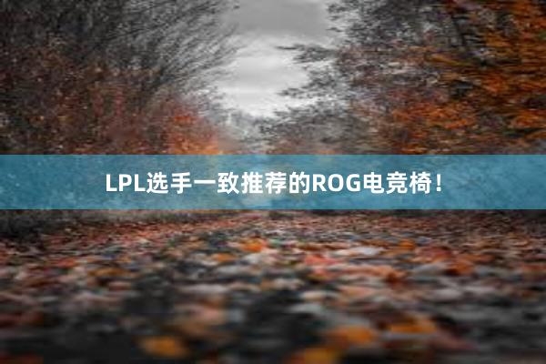 LPL选手一致推荐的ROG电竞椅！