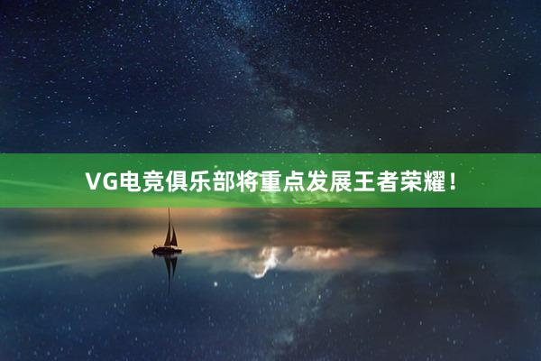 VG电竞俱乐部将重点发展王者荣耀！