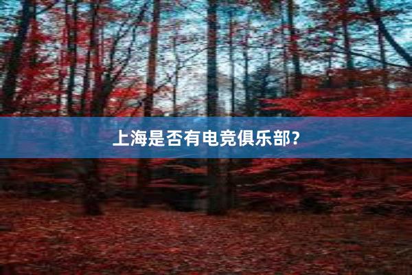 上海是否有电竞俱乐部？