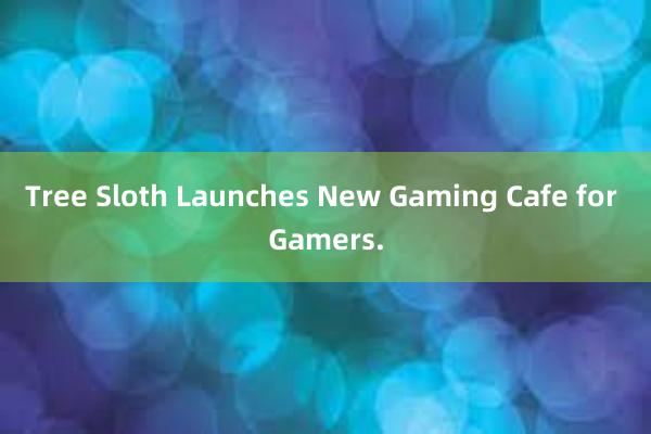 Tree Sloth Launches New Gaming Cafe for Gamers.