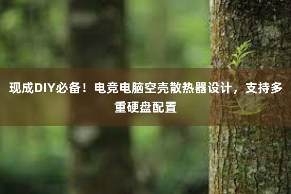 现成DIY必备！电竞电脑空壳散热器设计，支持多重硬盘配置