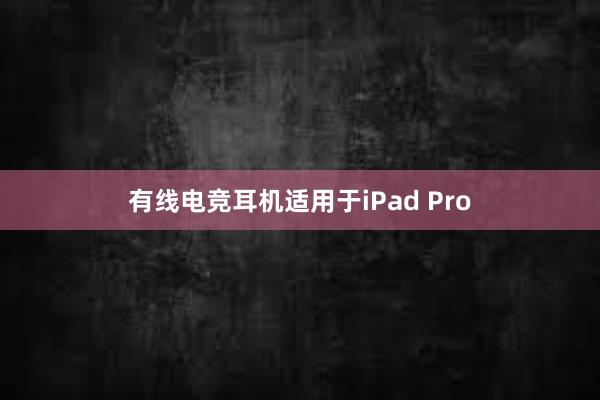 有线电竞耳机适用于iPad Pro