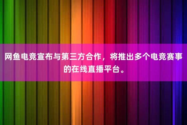 网鱼电竞宣布与第三方合作，将推出多个电竞赛事的在线直播平台。