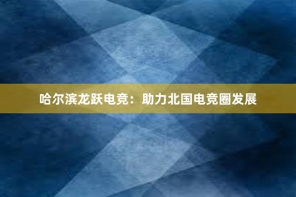 哈尔滨龙跃电竞：助力北国电竞圈发展